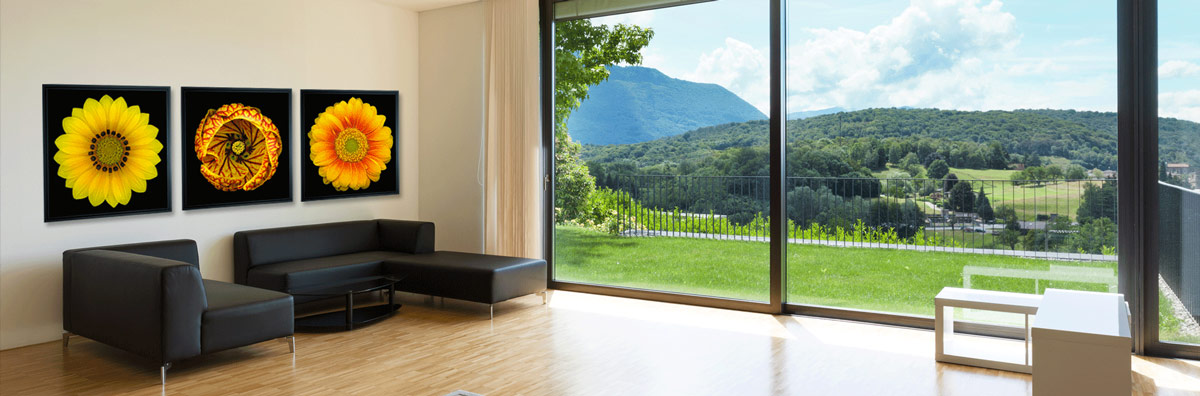 splider home 4